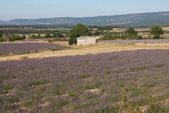 IMG_20190713_080209