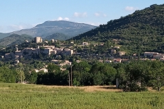 IMG_20190713_081445