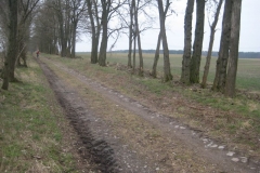 2018-03-24-CTF Mehrower Runde-18