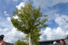 2017-09-03-Einzelzeitfahren (BER) - Vereinsmeisterschaft 3. Lauf-29