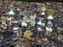 12.11.2017-Teufelsseelauf - Vereinsmeisterschaft (Waldlauf)
