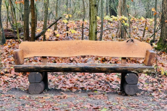 20251116-Waldlaufmeisterschaft-Teufelsseelauf-100-Jahre-BRC-Semper-05