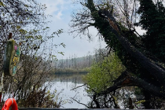 20251116-Waldlaufmeisterschaft-Teufelsseelauf-100-Jahre-BRC-Semper-07