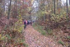2015-11-07-40-Bötzsee