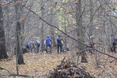 2015-11-07-53-Bötzsee
