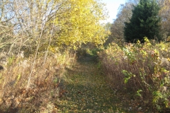 2015-11-08-05-Kesselsee