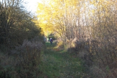 2015-11-08-06-Kesselsee