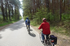 2015-08-Bilder der Saison