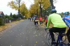 2015-23-Bilder der Saison