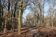 2016-03-28-03-Bergzeitfahren (Vereinsmeisterschaft 1. Lauf)