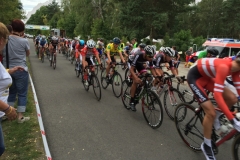 2016-08-19-48-4. Int. kids-tour