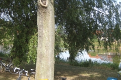 2016-09-03-07-Oderbruch