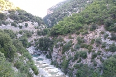 IMG_20190713_083118