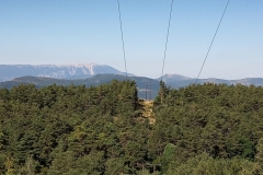 IMG_20190713_102634