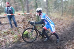 2017-11-26-Berliner Meisterschaft (Querfeldein) - Grünheide-07
